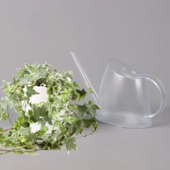 Hedera Helix 'Variegata' In Keramiktopf Dallas Weiß, Topf-Ø 12/13 Cm 11 Hedera Helix 'Variegata' In Keramiktopf Dallas Weiß, Topf-Ø 12/13 Cm -Garten Atmos Verkaufsgeschäft 0220650237 Hedera weissbunt in Topf Dallas weiss 3