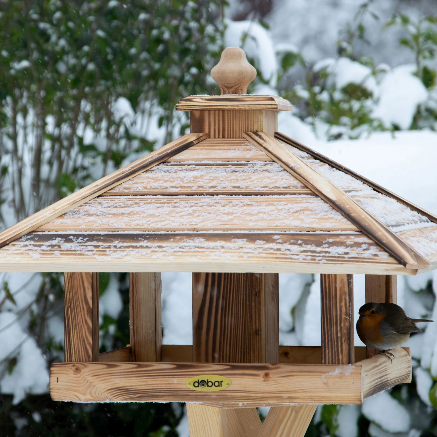 Kiefer-Vogelhaus 'Heat', Geflammt, 49 X 49 X 39 Cm 3 Kiefer-Vogelhaus 'Heat', Geflammt, 49 X 49 X 39 Cm