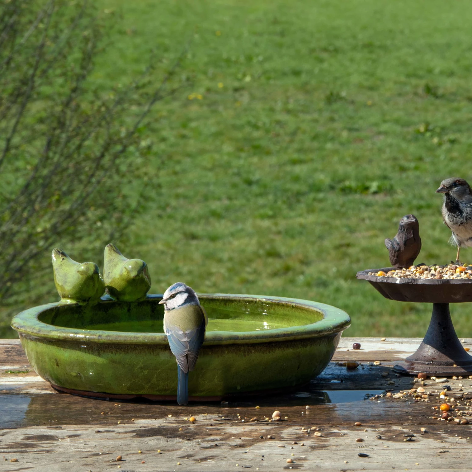 Vogeltränke Rund M, Grün, Keramik 3 Vogeltränke Rund M, Grün, Keramik