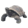 Gartendeko 'Schildkröte', Grau, H34 X L50 X B60 Cm 1 Gartendeko 'Schildkröte', Grau, H34 X L50 X B60 Cm -Garten Atmos Verkaufsgeschäft 0980306438 Schildkroete grau gross 123573