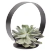 Sukkulente Im Metallring, Höhe Ca. 22 Cm -Garten Atmos Verkaufsgeschäft 1530150097 Echevieria im Metallring D20cm 2 116604