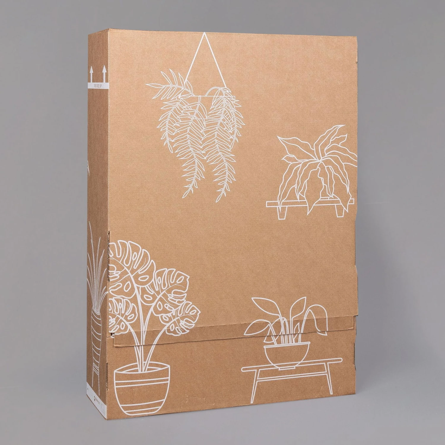 Glücksfeder In Keramiktopf Dallas Weiß, Topf-Ø 12 Cm, 2er-Set 8 Glücksfeder In Keramiktopf Dallas Weiß, Topf-Ø 12 Cm, 2er-Set – Bild 6